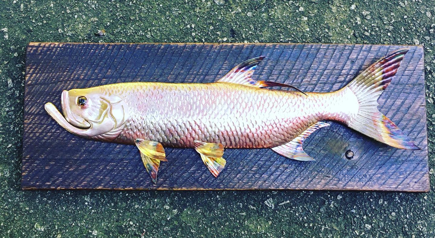 copper tarpon fish art 
