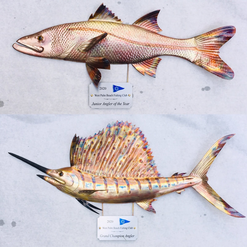 copper fish trophy snook sailfish