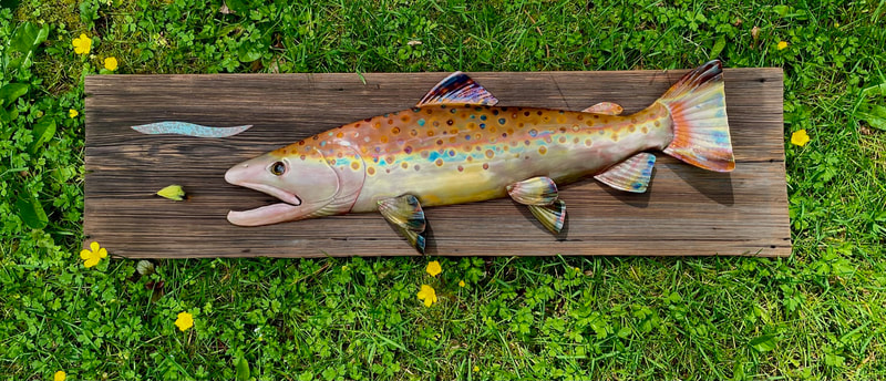 copper trout brown fish art
